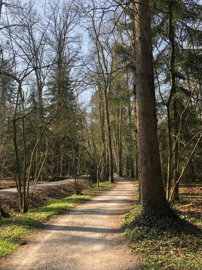 Anni Holiday home Bad Zwischenahn